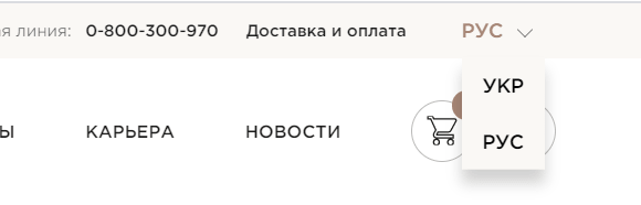 выбор языка сайта